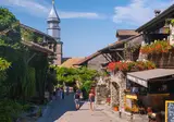 Léman Plage foto 19
