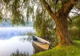 Ontdek Polen foto 14