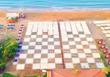 Dream World Palace foto 36