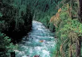 The Wild Western foto 7