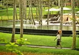 Ubud Village Resort & Spa foto 12