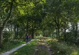 Vakantiepark 't Strandheem foto 18