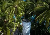 One&Only Reethi Rah foto 6