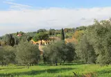 Il Borgo Di Montereggi foto 7