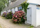 Flower Camping Le Port De La Chaine foto 21