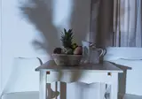 Le Palme foto 27