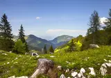 Appartementen Resort Tirol Brixen am Sonnenplateau foto 13