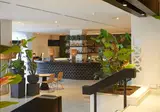 Hotel Dreams Jardin Tropical foto 24