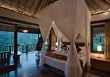 Nandini Jungle by Hanging Gardens foto 28