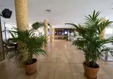 Miami Park Aparthotel foto 11