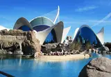 Winterzon in Valencia foto 4