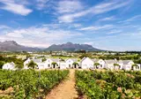 De Zalze Lodge foto 18