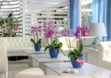 Hotel Caravel foto 28