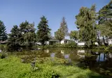 Camping Papillon Kinrooi foto 20
