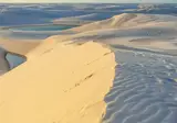 Discover the Nature of Brazil foto 1