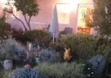 Villa Luketa foto 23
