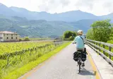 Fietsen over de Salzkammergut Radweg foto 11