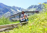 Alpenavontuur met de kinderen foto 4