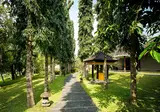 Tanah Gajah, a Resort by Hadiprana foto 28