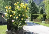 Camping Simplonblick foto 3