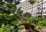 Shangri-La Rasa Sentosa, Singapore foto 18