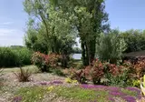 Natura Resort Pescalis foto 13