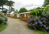 Flower Camping Le Port De La Chaine foto 2