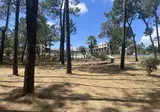 Sao Miguel foto 6