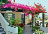 Paradise Resort Santorini foto 13