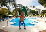 Hotel Palmasol foto 17