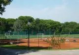 Belvedere Pineta foto 8
