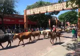 Texas op het gemak foto 14