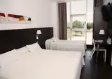 Sercotel Hotel Plana Parc foto 29
