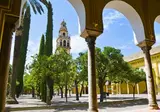 8 daagse fly drive Authentiek Andalusië foto 3