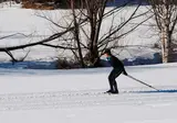 Zum Hirschen foto 26