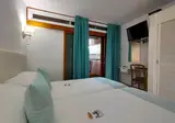 El Paseo foto 20