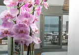 Melidonia Suites foto 12