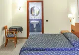 Olivo foto 16