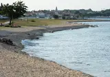 Pineta foto 8