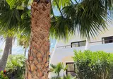 Monte Marina Naturist Resort foto 15
