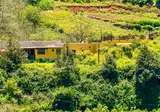 Finca Natura Canaria foto 10