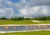 Blue Bay Curacao Golf & Beach Resort foto 28