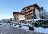 Artnatur Dolomites Hotel & Spa foto 13