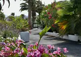 Casas Heddy foto 31