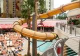 Hotel Golden Nugget Las Vegas foto 9