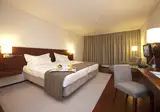 Pousada Viseu - Historic Hotel foto 26