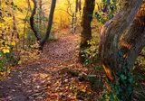 Vakantiepark Schoorlse Duinen foto 12