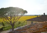 Le Terre dei Cavalieri Appartementen foto 1