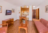 Apartamentos Tinerfe Garden foto 17