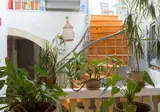 Nostos foto 4